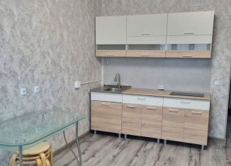 Квартира в аренду студия, 26 м2, Уфа, Акварельная улица, 4, Дёмский район