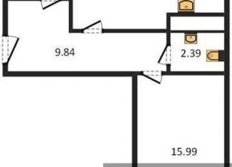 Продажа однокомнатной квартиры, 55.4 м2, Воронеж, Центральный район, Средне-Московская улица, 60