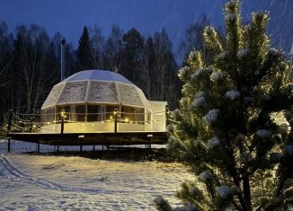 Сдам дом, 45 м2, Челябинская область, Заречная улица, 12А