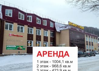 Сдается в аренду торговая площадь, 1000 м2, Челябинская область, 3-я Нижне-Заводская улица, 28