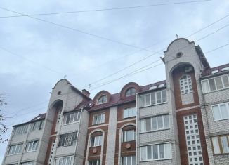 Продается трехкомнатная квартира, 83 м2, Йошкар-Ола, улица Якова Эшпая, 113А