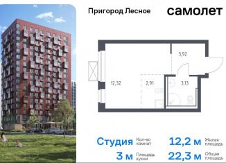 Продажа квартиры студии, 22.3 м2, деревня Мисайлово