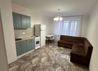 2-ком. квартира в аренду, 67 м2, Тюмень, улица Николая Никитина, 4к1