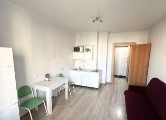 Продается квартира студия, 22 м2, Мурино, улица Шувалова, 21