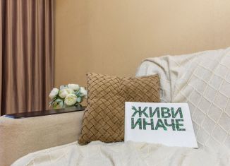 Продажа 2-комнатной квартиры, 51.5 м2, Санкт-Петербург, проспект Солидарности, 3к1