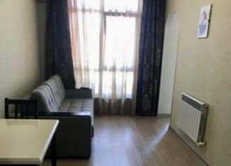 Продается квартира студия, 27 м2, Сочи, улица Просвещения, 148