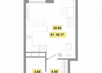 Продаю квартиру студию, 30.2 м2, деревня Радумля