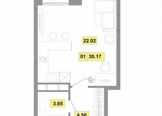 Продается квартира студия, 30.2 м2, деревня Радумля