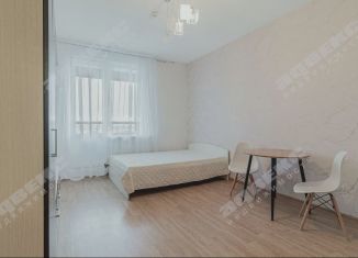 Продаю квартиру студию, 24 м2, Кудрово, Венская улица, 4к1