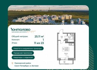 Продам квартиру студию, 25.1 м2, Санкт-Петербург, Ивинская улица, 1к2, метро Беговая