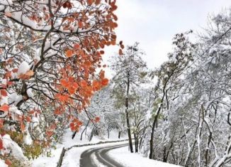 Сдам дом, 90 м2, Карачаево-Черкесия, улица Ленина, 19А