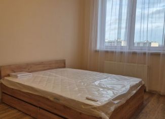 Аренда 2-комнатной квартиры, 50 м2, Кудрово, проспект Строителей, 5к1