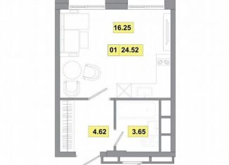 Продам квартиру студию, 24.5 м2, деревня Радумля