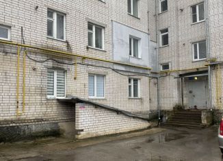 2-комнатная квартира в аренду, 54 м2, Нижегородская область, улица Тургенева, 26