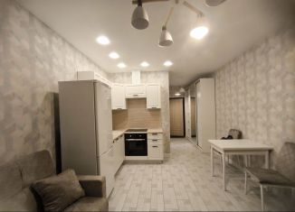 Продается квартира студия, 30 м2, Старая Купавна, Октябрьская улица, 14А