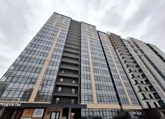 Квартира в аренду студия, 25.4 м2, Красноярский край, Соколовская улица, 64