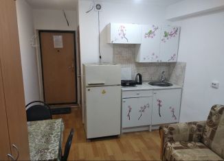 Сдам квартиру студию, 20 м2, Республика Башкортостан, улица Чкалова, 4