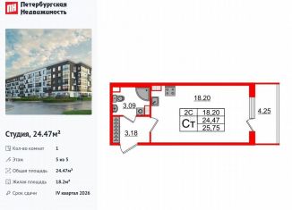 Продаю квартиру студию, 24.5 м2, Санкт-Петербург, Московский район