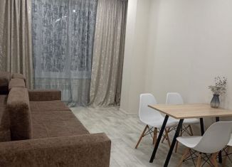 1-ком. квартира в аренду, 50 м2, Абакан, улица Бограда, 160