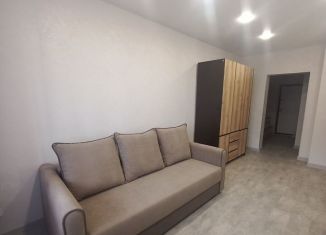 Сдаю в аренду квартиру студию, 27 м2, Абакан, улица Кирова, 185к2