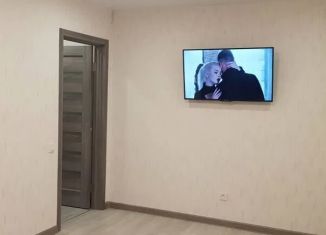 Сдам в аренду 1-ком. квартиру, 37 м2, Санкт-Петербург, Парашютная улица, 61к1, метро Озерки