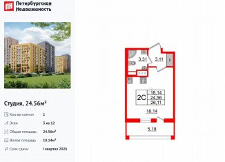 Продам квартиру студию, 24.6 м2, Санкт-Петербург, Приморский район