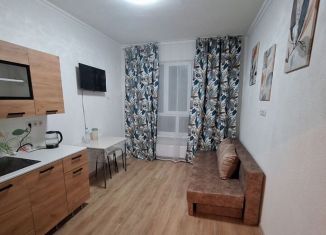 Квартира в аренду студия, 22 м2, Ярославль, Шандорная улица, 14