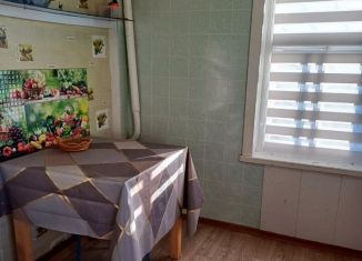 Сдача в аренду дома, 45 м2, Республика Башкортостан, Центральная улица, 34