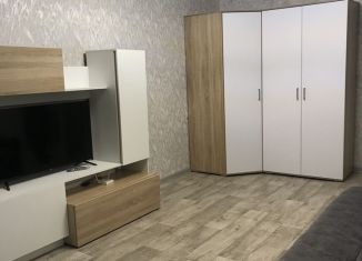 Сдам в аренду 1-ком. квартиру, 34.3 м2, Петропавловск-Камчатский, улица Старицина, 12, микрорайон Сероглазка