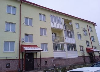 Продается однокомнатная квартира, 38 м2, деревня Вартемяги, улица Ветеранов, 1
