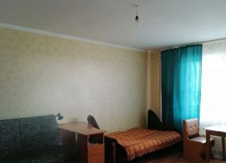 Квартира в аренду студия, 30 м2, деревня Кондратово, Красавинская улица, 1, ЖК Медовый