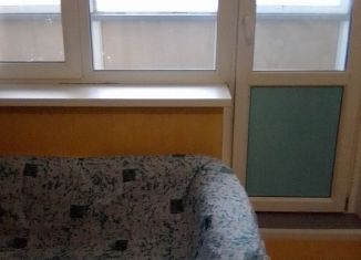 Сдается в аренду квартира студия, 25 м2, Санкт-Петербург, Парашютная улица, 56к1, ЖК Каменка