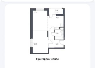 Сдается в аренду двухкомнатная квартира, 44 м2, деревня Мисайлово, Полевая улица, 2