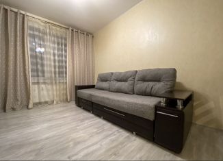 Сдается 1-комнатная квартира, 32.8 м2, посёлок Парголово, улица Валерия Гаврилина