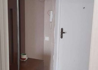 Сдаю 1-комнатную квартиру, 25 м2, Курская область, проспект Надежды Плевицкой, 35