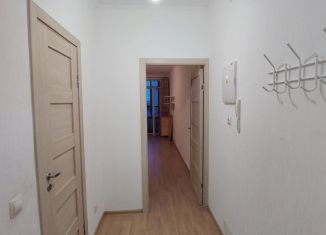 Квартира на продажу студия, 24 м2, Санкт-Петербург, улица Адмирала Черокова, метро Проспект Ветеранов