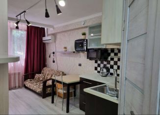 Сдается квартира студия, 20 м2, Сочи, улица Голубые Дали, 74, микрорайон Голубые Дали