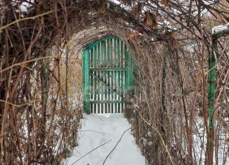 Продаю дом, 30 м2, село Александровка, Советская улица, 4