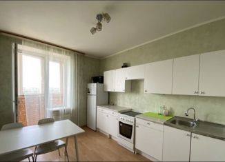 Сдается 1-комнатная квартира, 41 м2, Санкт-Петербург, улица Ворошилова, 27к1, метро Проспект Большевиков