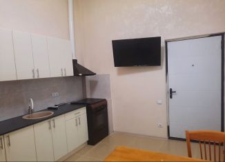 2-ком. квартира в аренду, 42 м2, Ростов-на-Дону, улица Теряева, 9, ЖК Платовский