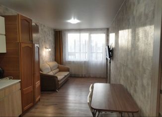 Квартира в аренду студия, 24 м2, Ломоносов, Михайловская улица, 51