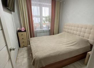 Продается 2-комнатная квартира, 41.9 м2, село Николо-Берёзовка, переулок Монтажников, 2
