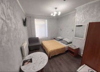 Сдается в аренду квартира студия, 18 м2, Санкт-Петербург, Разъезжая улица, 42/34Б, Разъезжая улица