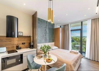 Продам однокомнатную квартиру, 24.8 м2, Сочи, Депутатская улица, 10Б/1, ЖК Метрополь