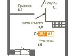1-комнатная квартира на продажу, 30.7 м2, Красноярск