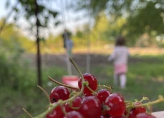 Продаю участок, 10 сот., СНТ Берёзка