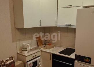 Сдаю в аренду квартиру студию, 18 м2, Алтайский край, проспект Ленина, 123