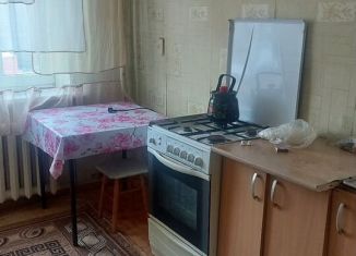 Сдается в аренду трехкомнатная квартира, 62 м2, Новомосковск, Трудовой проезд, 1