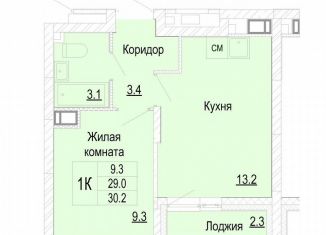 1-ком. квартира на продажу, 30.2 м2, Нижегородская область