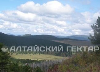 Продам земельный участок, 3040 сот., Республика Алтай